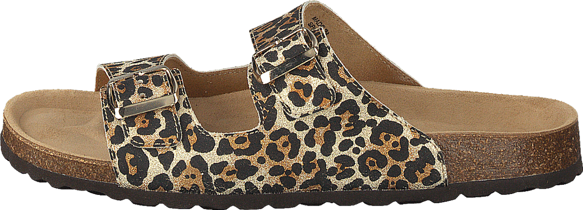 Slipper Leo - Leopard