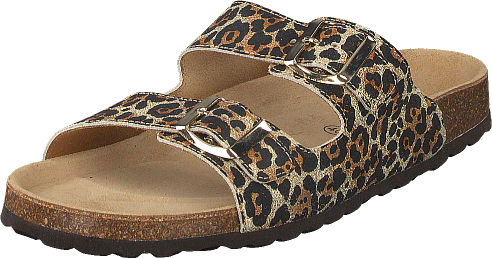 Slipper Leo - Leopard