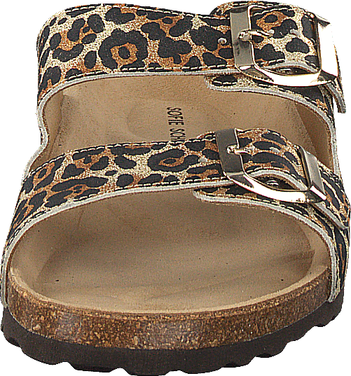 Slipper Leo - Leopard