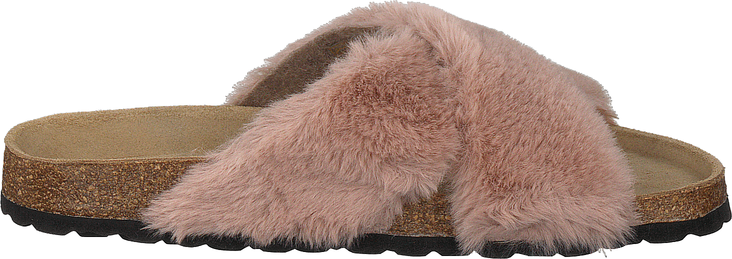 Slipper Rose - Bild 2