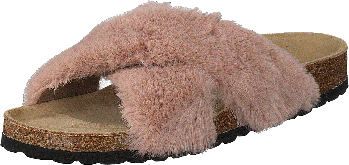 Slipper Rose - Bild 3