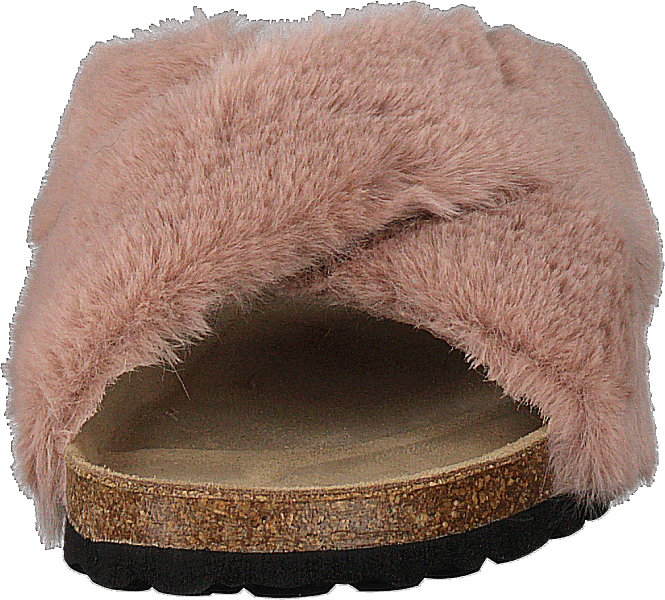 Slipper Rose - Bild 4