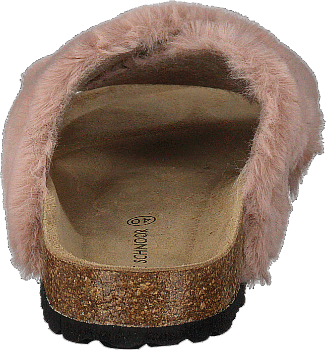 Slipper Rose - Bild 5