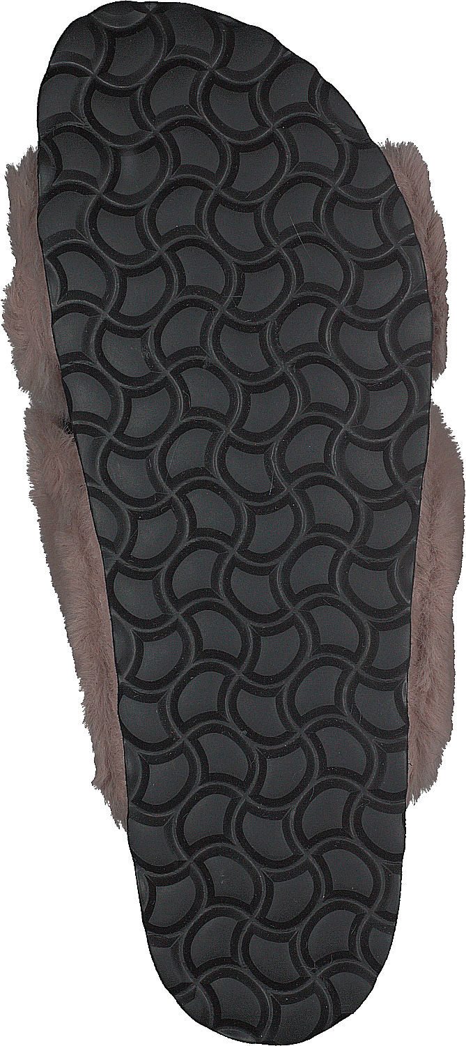 Slipper Rose - Bild 7