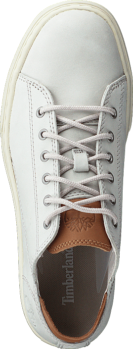 timberland adv 2.0 cupsole modern ox