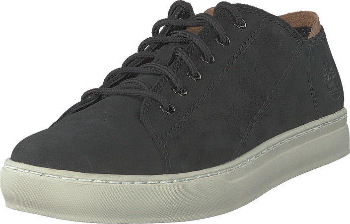 timberland adv 2.0 cupsole modern ox