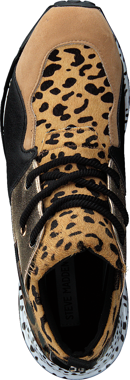 Steve madden hotsell cliff animal