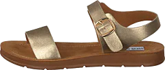 Steve Madden - Probable Gold