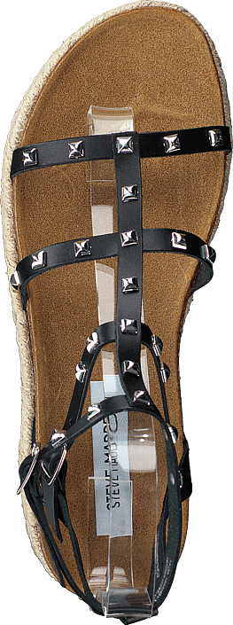 Steve Madden - Array Black