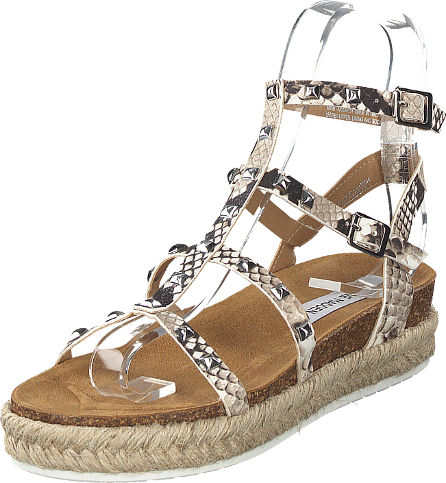 steve madden kimmie snake order d5e20 7e2ee