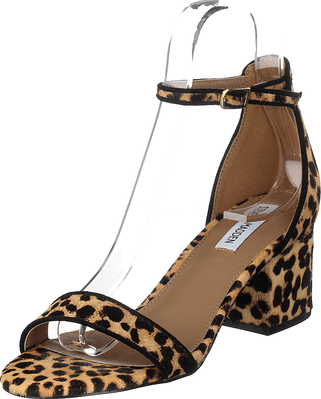 Irenee-l Leopard