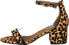 Steve Madden - Irenee-l Leopard