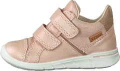 Ecco - First Rose Dust