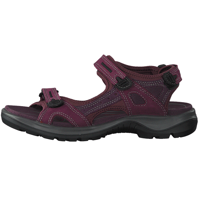 ecco offroad aubergine