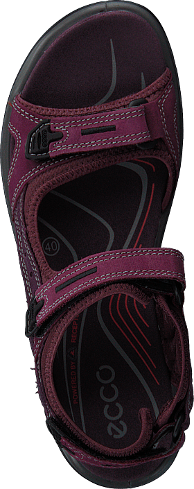 ecco offroad aubergine