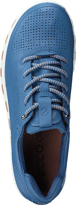 ecco blue