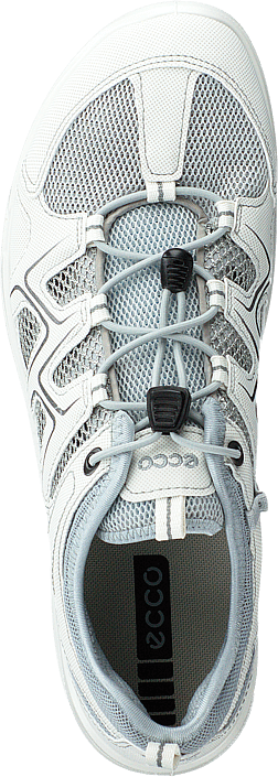 ecco terracruise 44