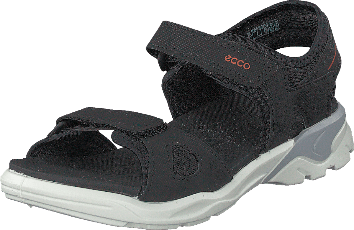 Biom Raft Black