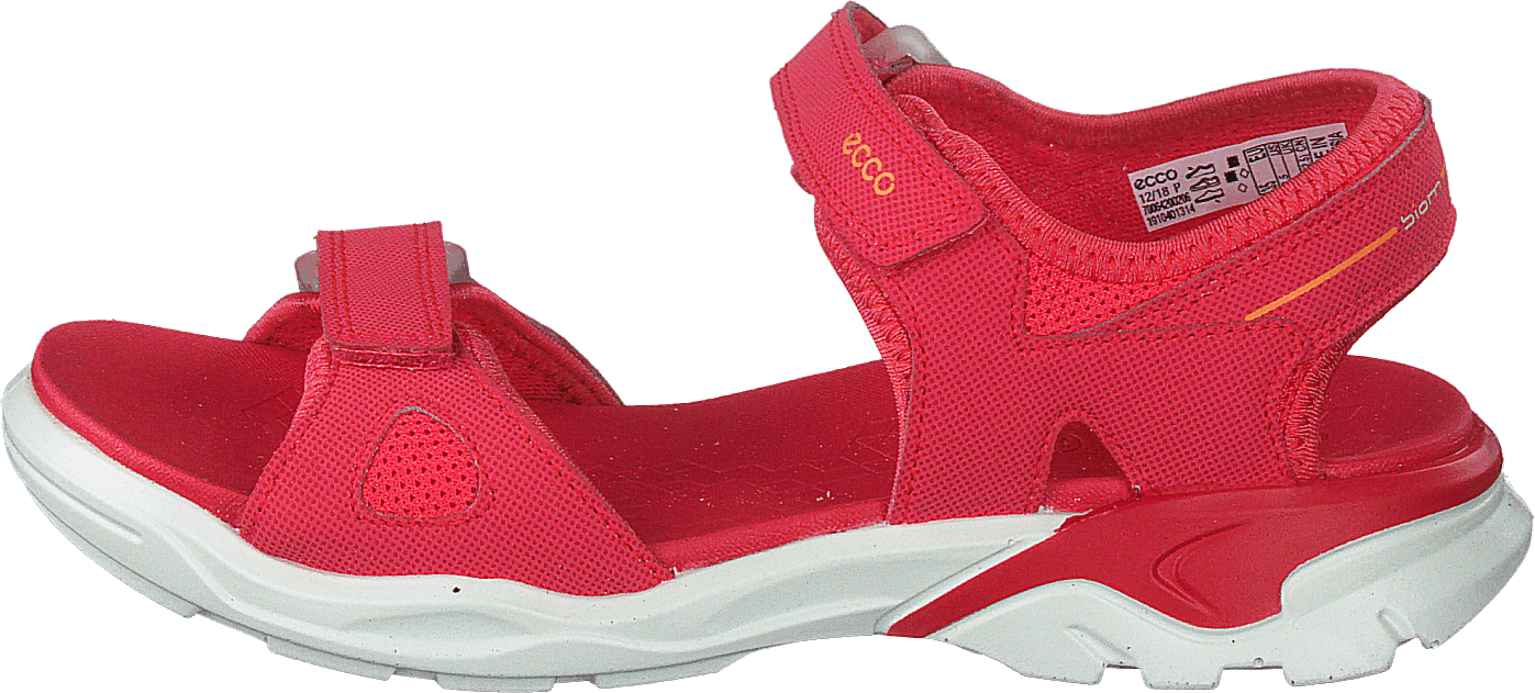 Biom Raft Teaberry, Unisex, Skor, Sandaler och Tofflor, sandaler, Röd/Rosa, EU 30