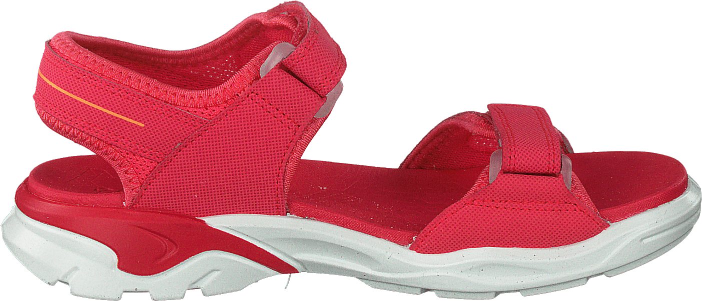 Biom Raft Teaberry - Bild 2