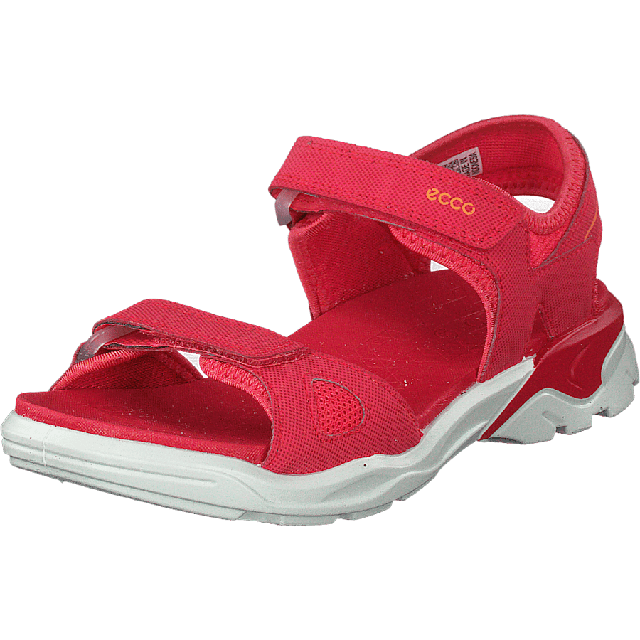 Biom Raft Teaberry - Bild 3