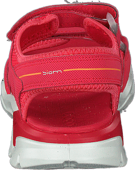 Biom Raft Teaberry - Bild 5