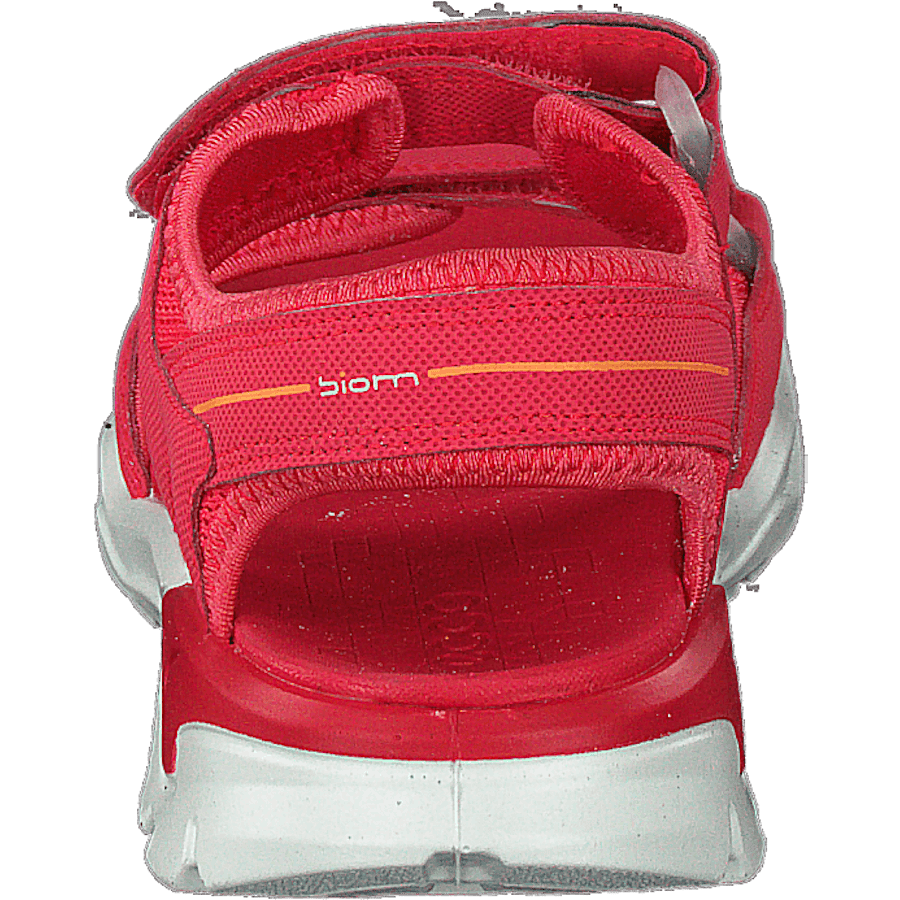 Biom Raft Teaberry - Bild 5