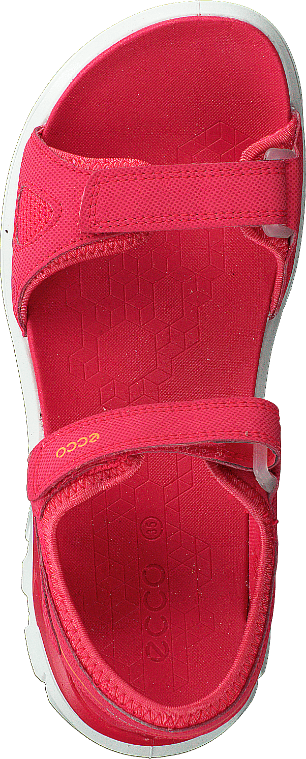 Biom Raft Teaberry - Bild 6