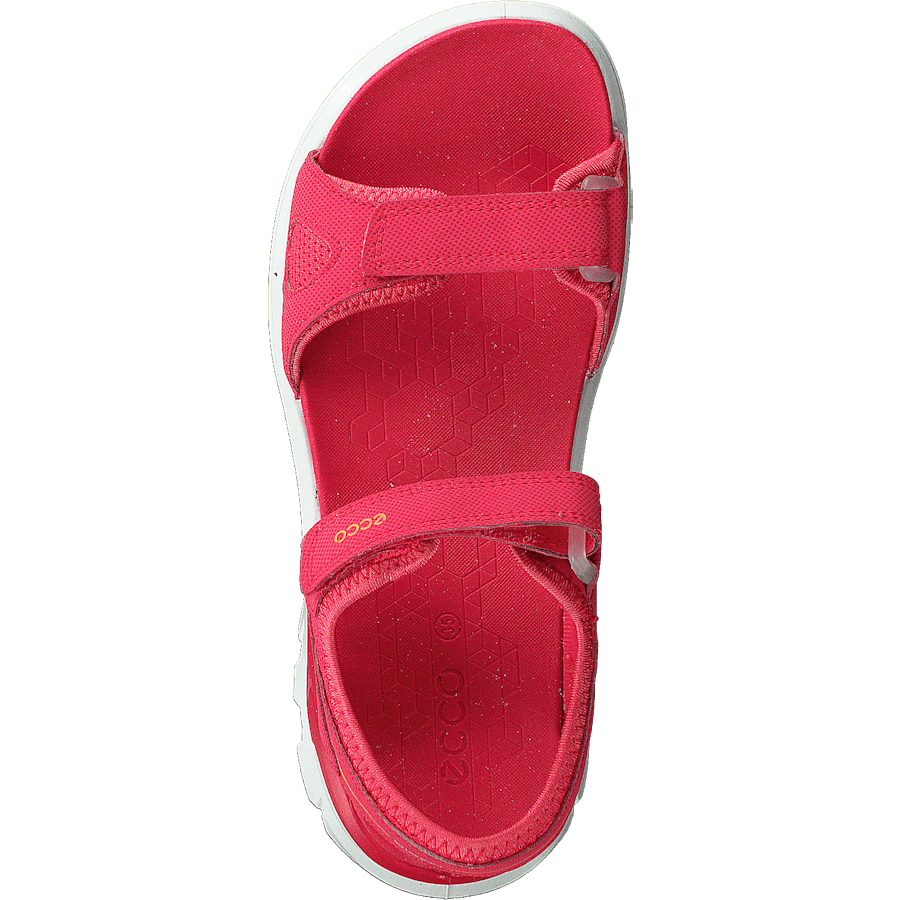 Biom Raft Teaberry - Bild 6