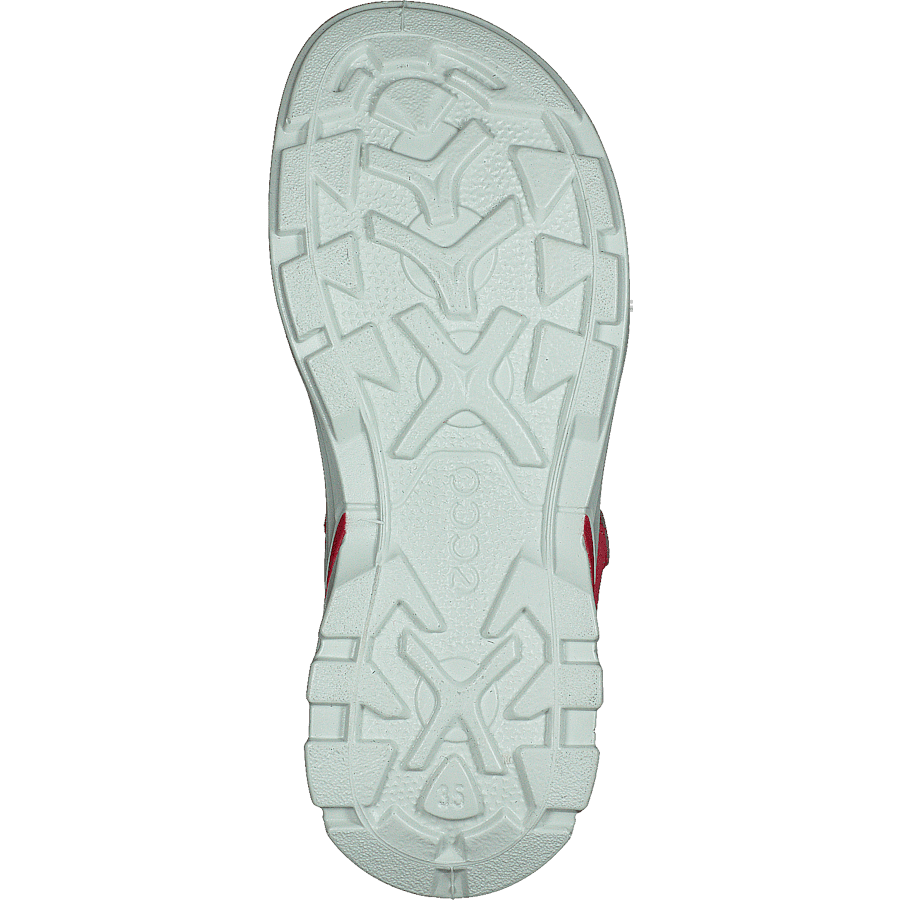 Biom Raft Teaberry - Bild 7