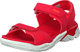 Biom Raft Teaberry - Bild 9
