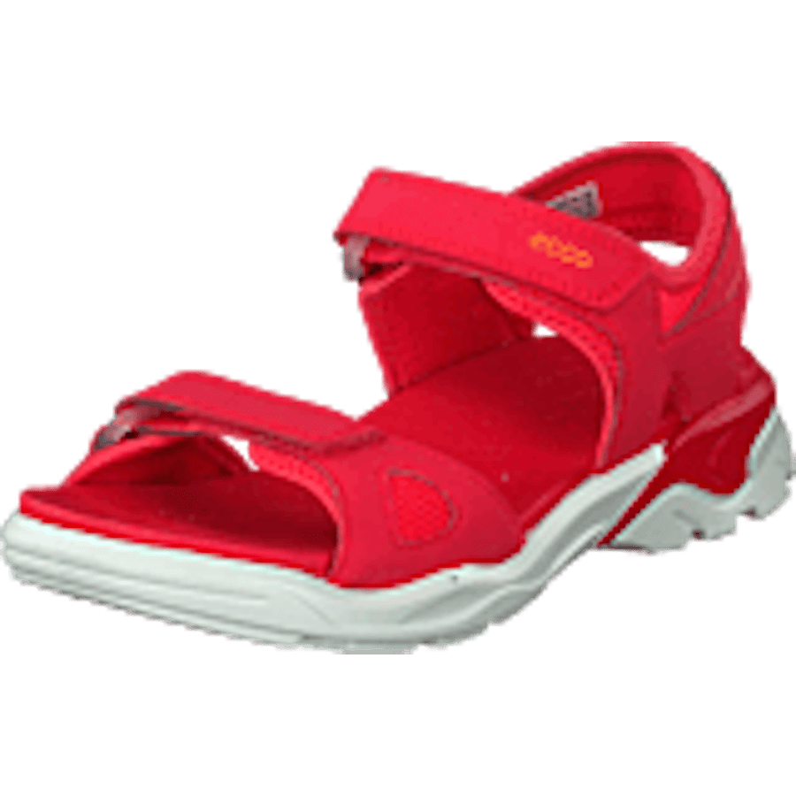 Biom Raft Teaberry - Bild 9