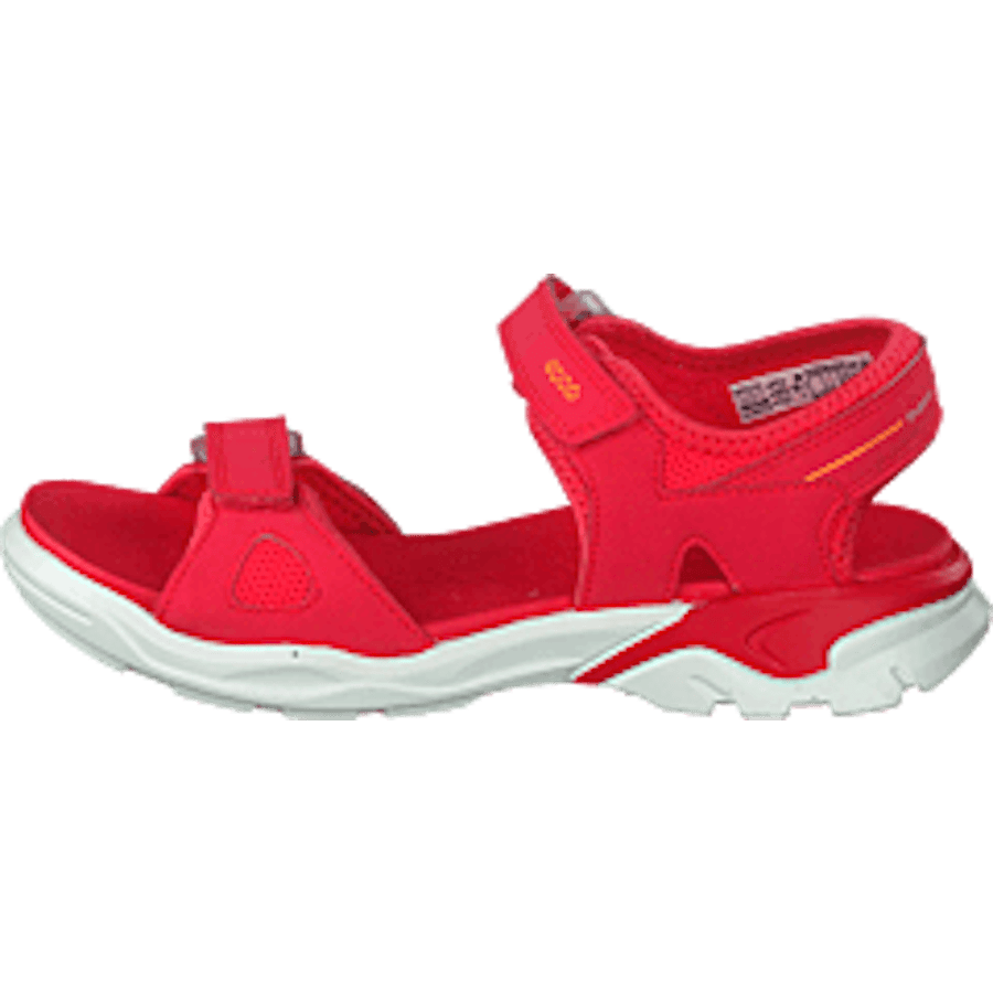 Biom Raft Teaberry - Bild 10