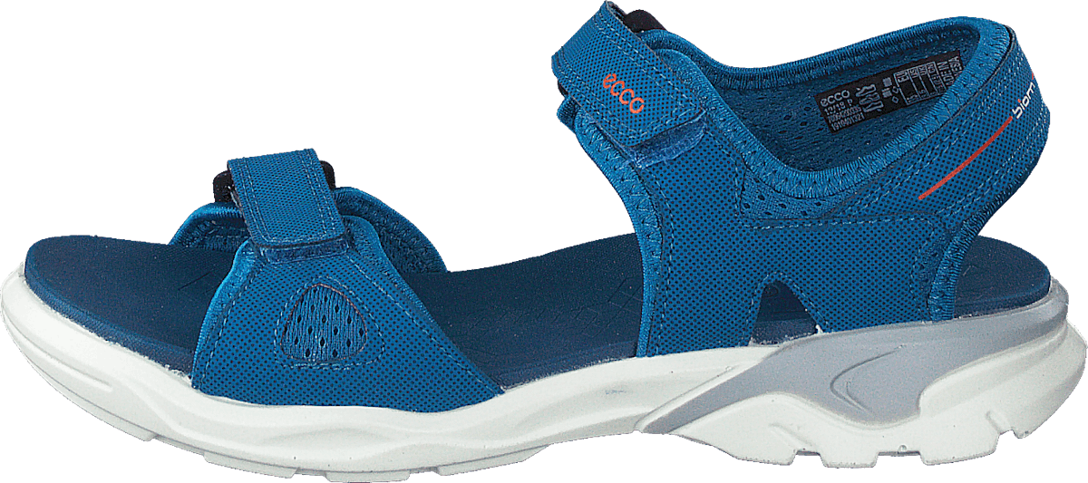 Biom Raft Olympian Blue