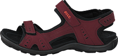 Ecco - All Terrain Lite Bordeaux