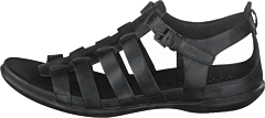 Ecco - Flash Black
