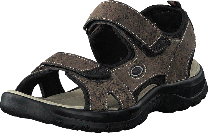 Champion - Sandal Trek Coffee Bean