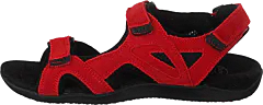 Scholl - Spinner Red