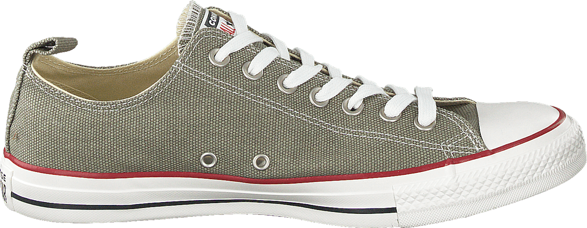 Chuck Taylor All Star Vintage Lichen