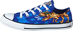 Converse - Chuck Taylor Ox Dinoverse Blue/black/white