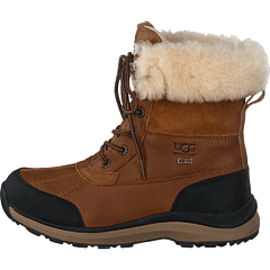 W Adirondack III Chestnut - Bild 10