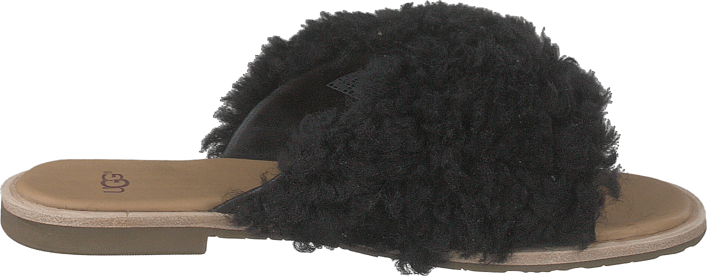 Joni Black - Bild 2