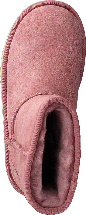 UGG - Short Pink Dawn