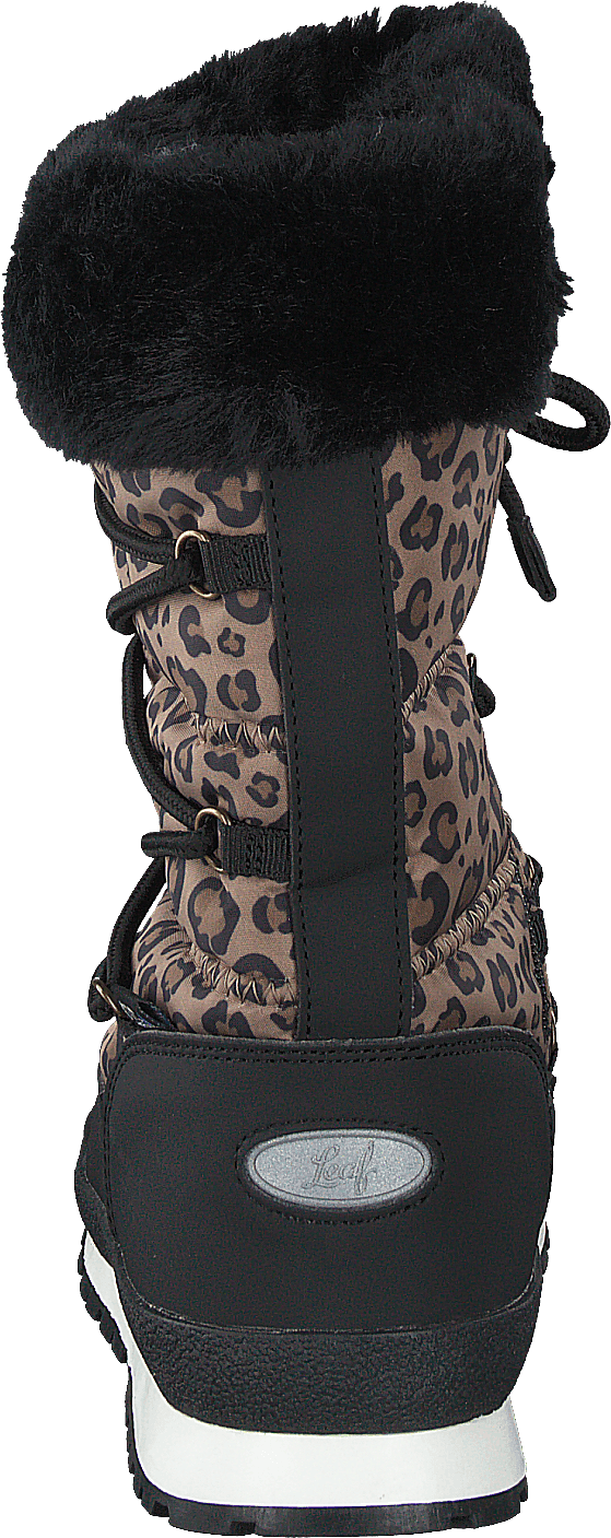 Ysby Leopard