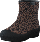 Hermeline Leopard - Bild 9