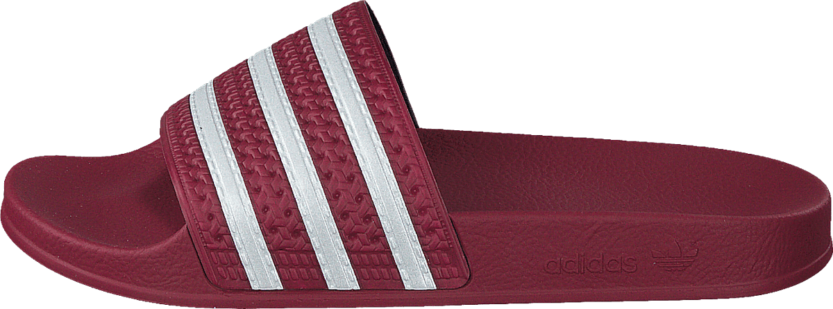 Adilette Collegiate Burgundy/ftwr White