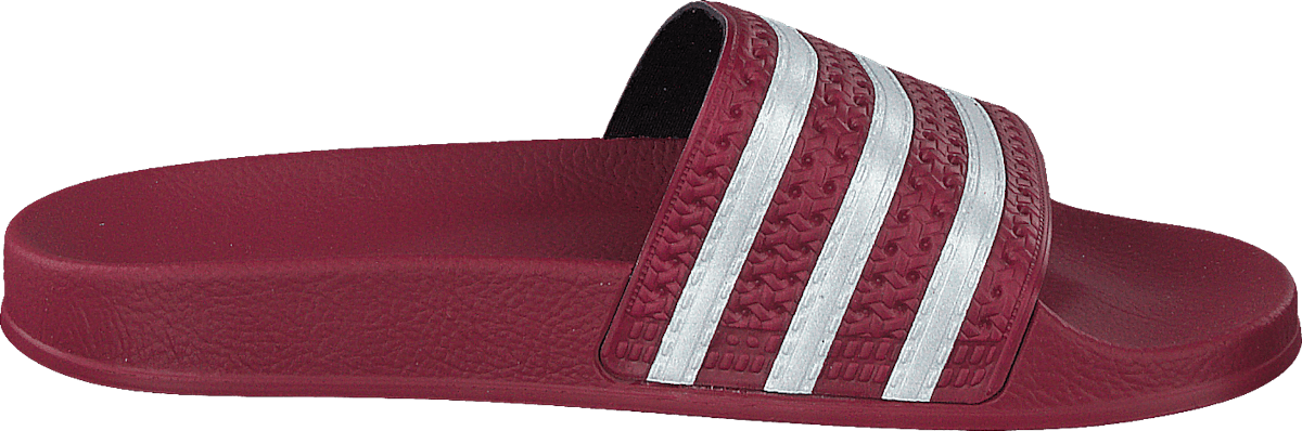 Adilette Collegiate Burgundy/ftwr White