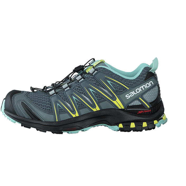 salomon x4 pro 3d