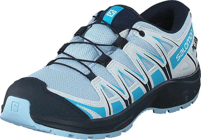 Buy Salomon Xa Pro 3d Cswp J Cashmere Blue Illusion Blue Cy Shoes