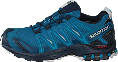 Salomon - Xa Pro 3d Gtx Lyons Blue/navy Blazer/lunar R